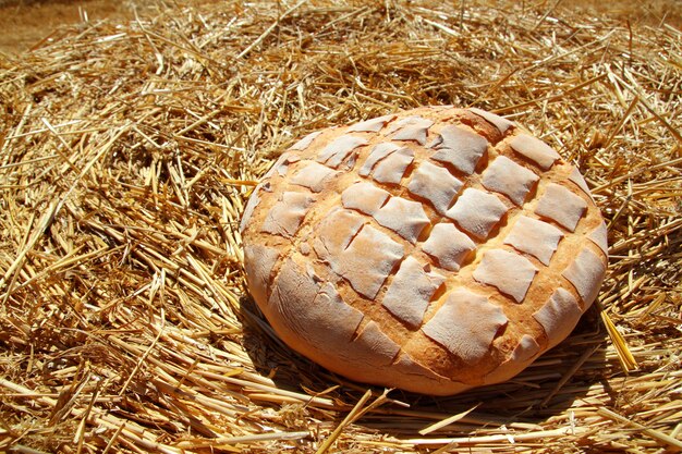 Brotbrötchen rund auf goldenem Weizenstroh