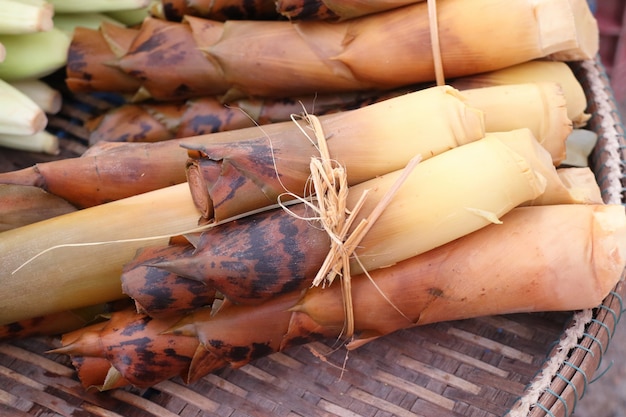 brote de bambu en la calle