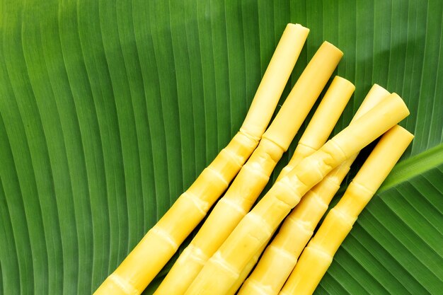 Brote de bambú conservado en hoja de plátano