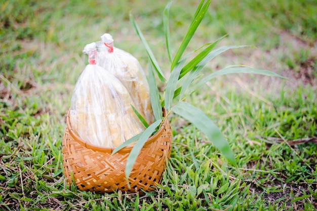 Brote de bambú hervido en empaquetado en suelo de hierba verde