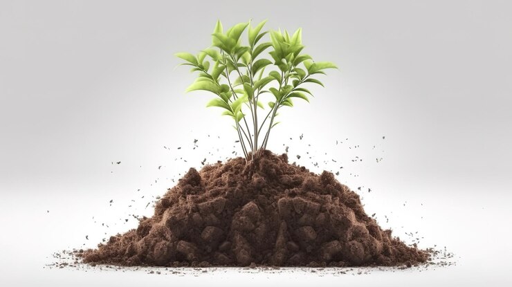 Brote de planta en suelo sólido aislado sobre fondo blanco vacío Ai generativo