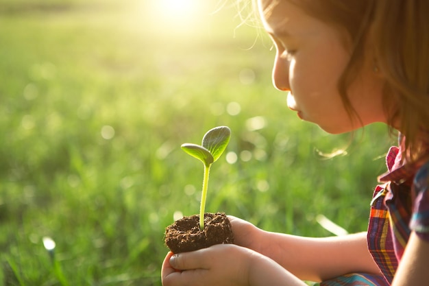 Brote verde joven en manos de un niño a la luz del sol sobre un fondo de hierba verde Plántulas naturales ecológica nueva vida juventud El concepto de desarrollo cuidado de la paz Espacio de copia