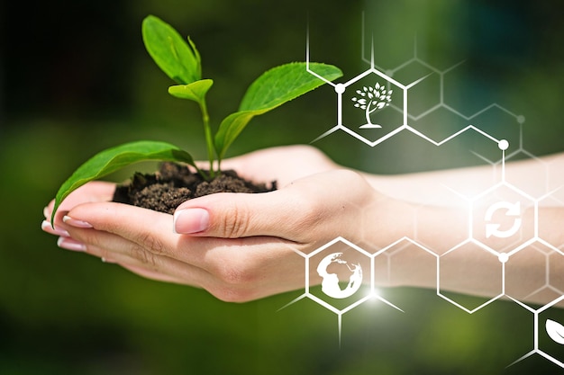 Brote verde en las manos con estructura bioquímica.