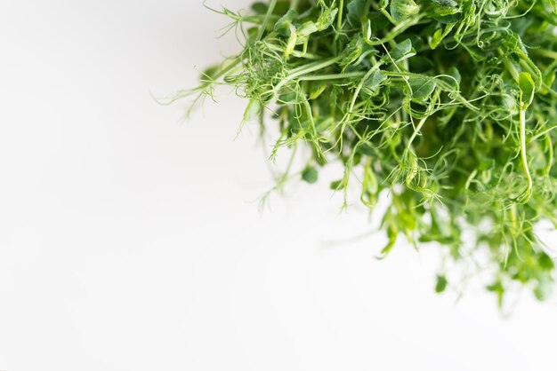 Brotes de guisantes vegetales microgreens sobre fondo blanco superalimento de salud vegana Vista superior lugar de primer plano para una inscripción