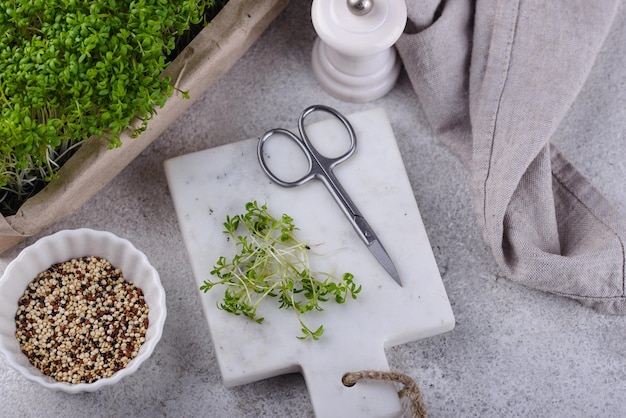 Brotes de microgreens de ensalada de berros