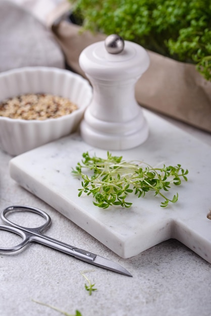 Brotes de microgreens de ensalada de berros