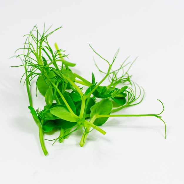 Brotes microverdes de guisantes verdes sobre un fondo blanco Primer concepto de comida vegana y saludable