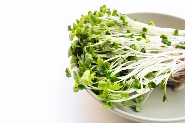 Brotes de rábano daikon Kaiware sobre fondo blanco.