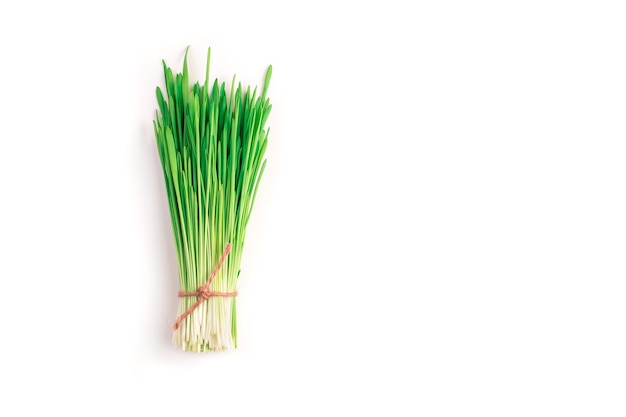 Los brotes de trigo verde se juntan en un paquete y se atan con un hilo de cuerda sobre una mesa blanca. La vista desde arriba. El concepto de comida sana, superalimentos.