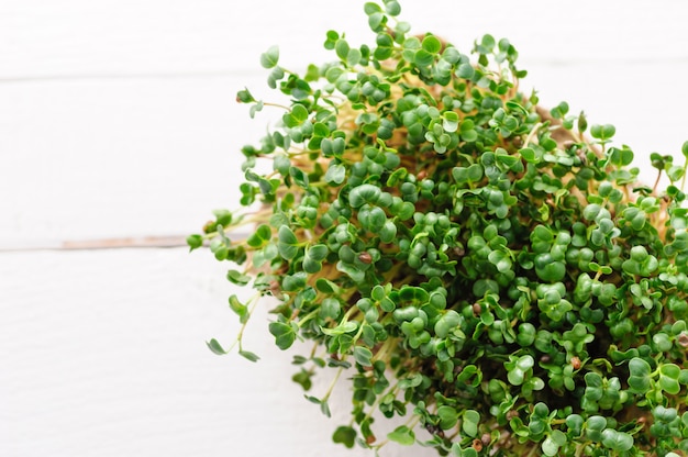 Brotes verdes jóvenes de rábano microverde que crecen en casa sobre una alfombra de lino