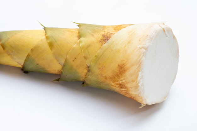 Broto de bambu em fundo branco.