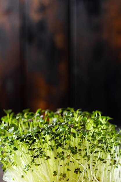 Brotos de ervilha microgreen na velha mesa de madeira. Estilo vintage. Conceito de alimentação vegana e saudável. Brotos em crescimento. Foco seletivo