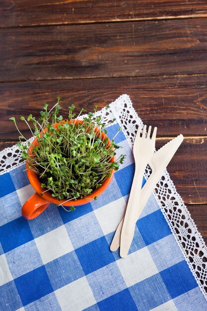 Brotos de mini verde em copo laranja e garfo e faca biodegradáveis de bambu feitos de material reutilizável de reciclagem ecológica natural