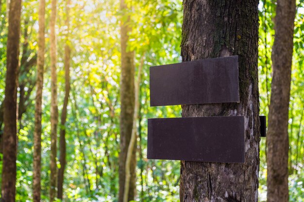 Brown-alter hölzerner Weg unterzeichnen herein Kiefernwald