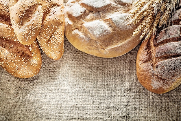 Brown-Breadstick-Weizenohren auf hessischem Hintergrund