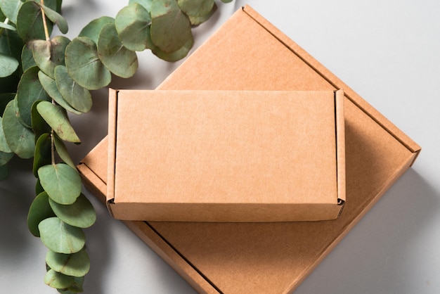 Brown Corrugated Cardboard Mailer Box auf Holzschreibtisch mit Eukalyptusblättern