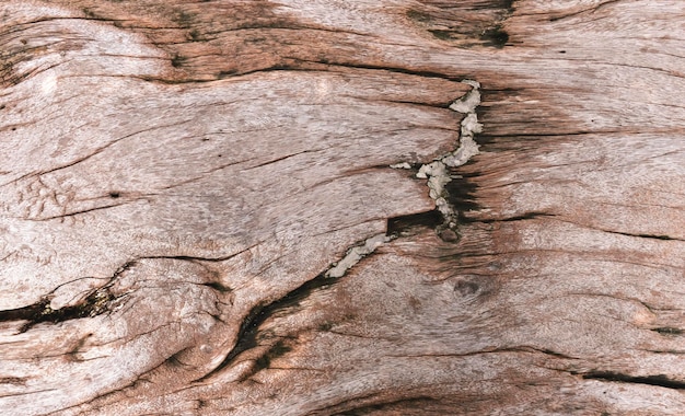 Brown-Holz-Linienmuster-Textur-Hintergrund
