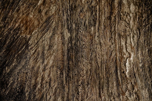Brown Holz vertikale Textur natürlicher Baum Hintergrund Platz für Ihre Arbeit