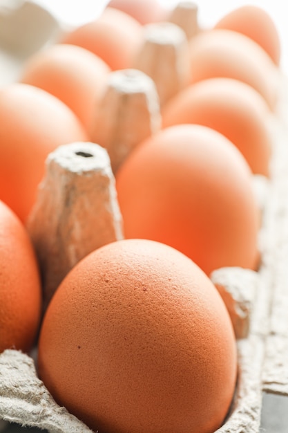 Brown huevos de gallina en caja de cartón