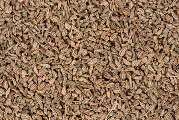 Brown Organic Ajwain Seed em uma tigela de madeira sobre um fundo branco. Semente de Ajowan.