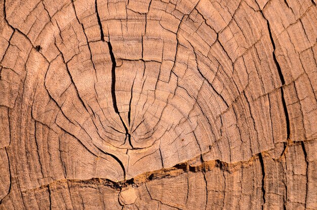 Brown Trockenes Holz Oberflächenstruktur Muster Hintergrund