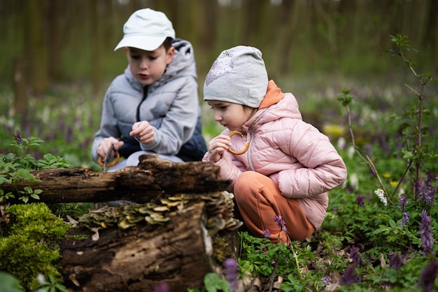 Bruder und Schwester entdecken Holz im Frühlingswald