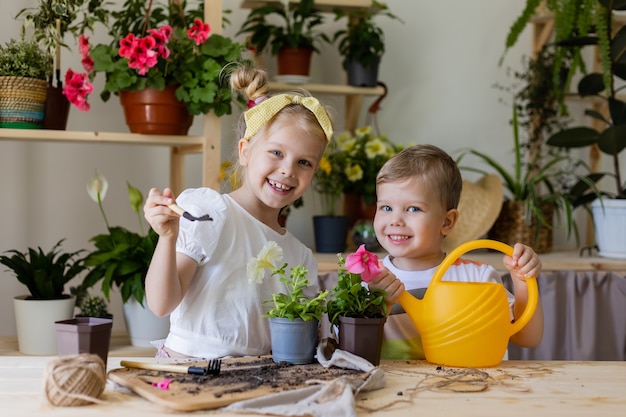 Bruder und Schwester pflanzen und verpflanzen und gießen Zimmerblumen aus einer gelben Gießkanne