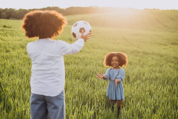 Bruder und Schwester spielen mit Ball auf dem Feld