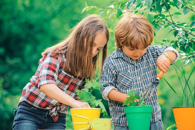 Foto bruder und schwester züchten zusammen blumen kinder genießen auf dem bauernhof glückliche kleine bauern, die spaß haben