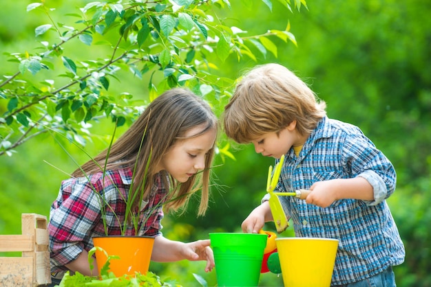 Bruder und Schwester züchten zusammen Blumen Kleine Kinder arbeiten im Hof mit Gartengeräten und haben eine gute Zeit Frühlingsgärtnerei