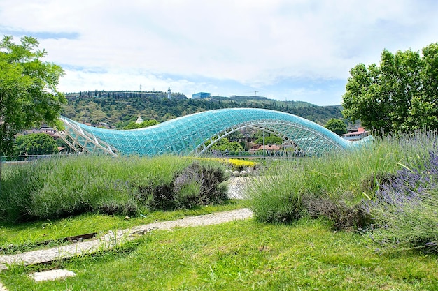 Brücke des Friedens in Tiflis (Georgia) im Sommer Fußgängerbrücke über den Fluss Kura (Georgia) Aussicht auf die berühmtesten Sehenswürdigkeiten der modernen Architektur der Stadt