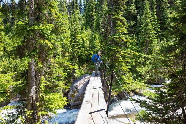 Foto brücke im aufstieg