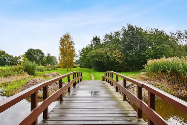 Brücke im Park