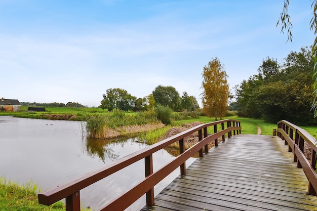 Brücke im Park