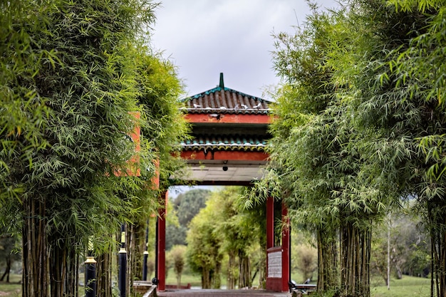 Brücke im Taining Lake Gardens Park, Malaysia