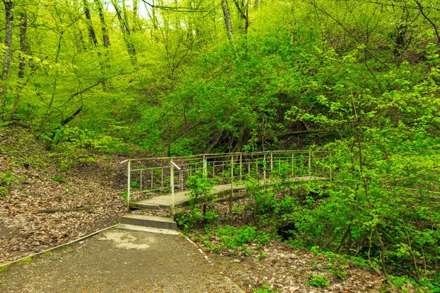 Brücke im Wald Goryachy Klyuch Stadt