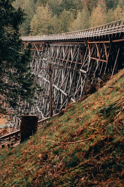 Foto brücke im wald