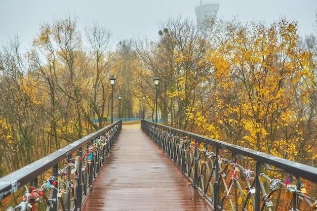 Brücke mit schöner Metallschmiedearbeit im warmen Herbstnachmittag des Parks