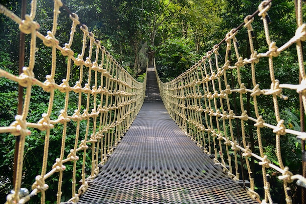 Brücke Regenwald Hängebrücke, Überqueren des Flusses, Fähre im Wald