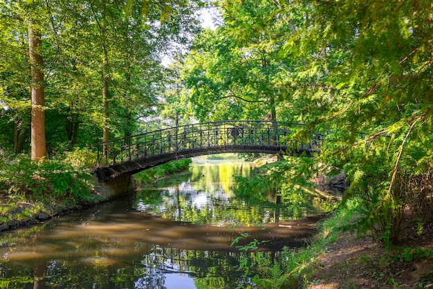 Foto brücke über den ententeich im park