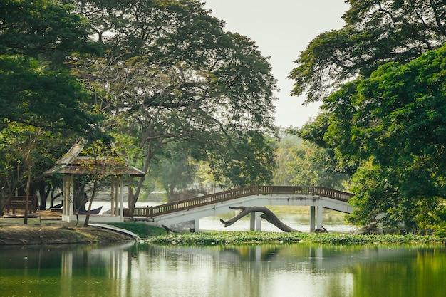 Brücke über den Fluss in Ayutthaya