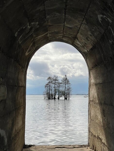 Foto brücke über den fluss