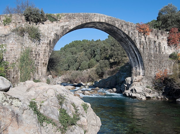 Foto brücke über den fluss