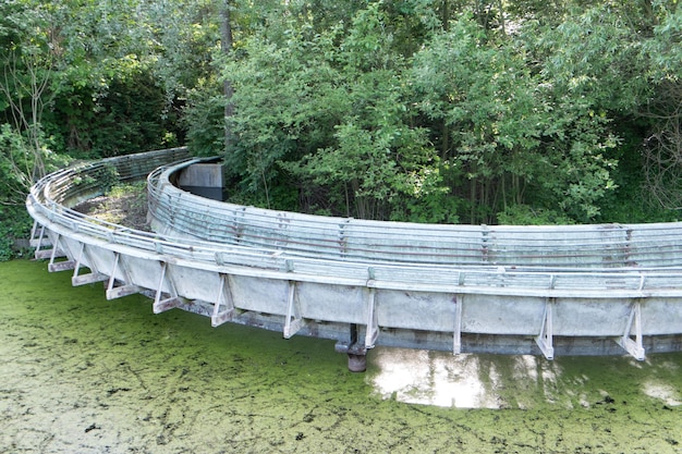 Foto brücke über den sumpf