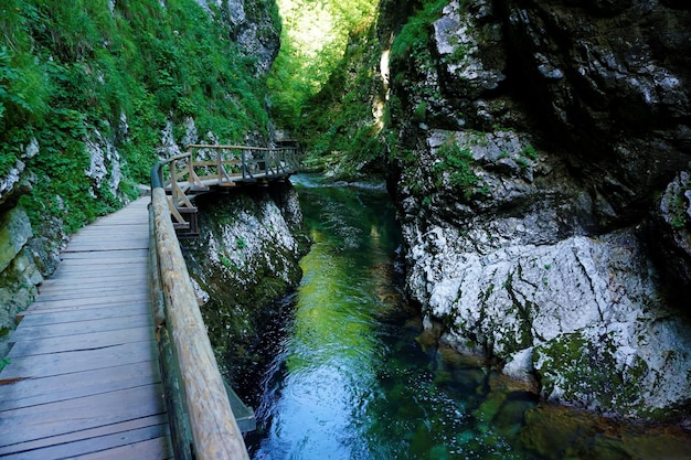 Brücke über einen Fluss im Wald