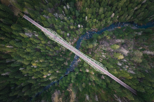 Brücke über einen Fluss in einem Wald