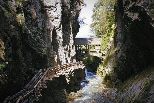 Foto brücke über einen fluss inmitten von bäumen