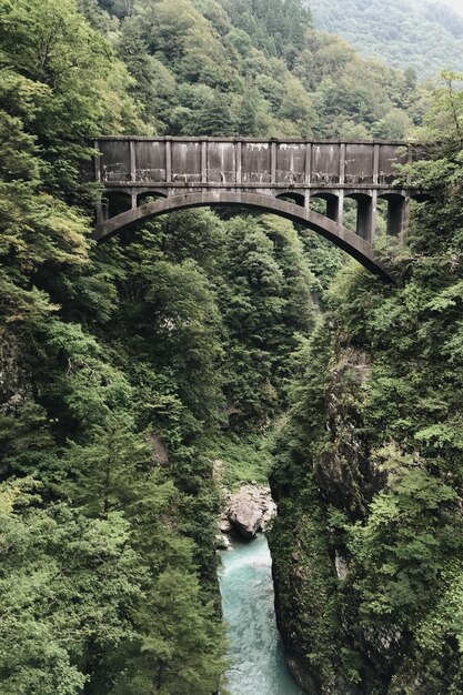 Foto brücke über einen fluss inmitten von bäumen