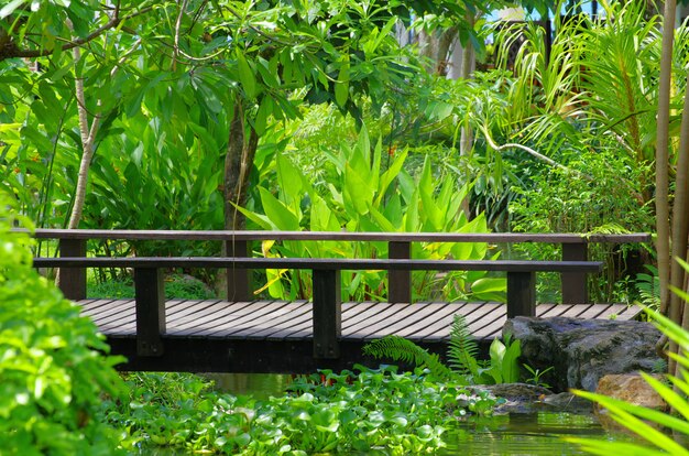 Brücke über grüne Natur