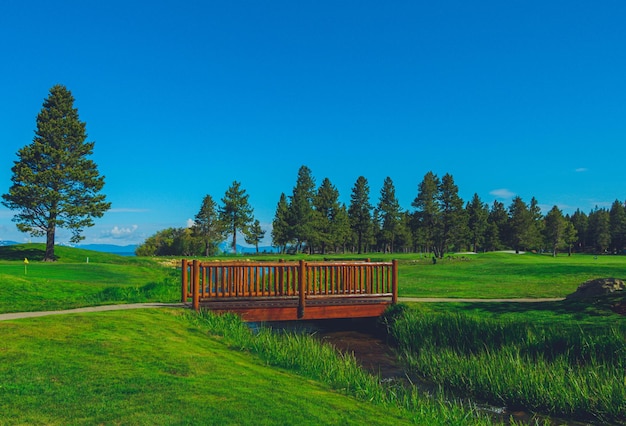 Brückenteich-Golfplatz